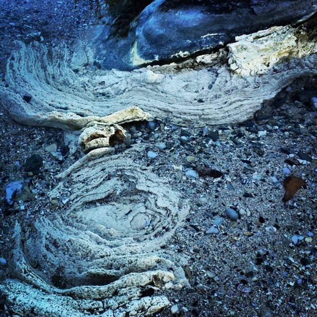 Stromatolites are really a fossil cyanobacteria colony.