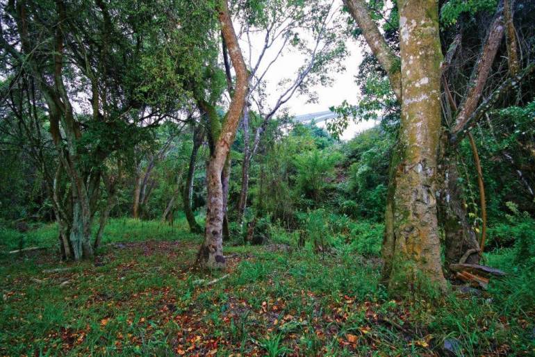 Perfect Picnic Spots In Port Elizabeth Blog Nelson Mandela Bay 
