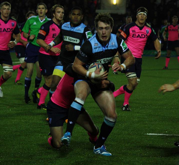 stuart hogg rugby