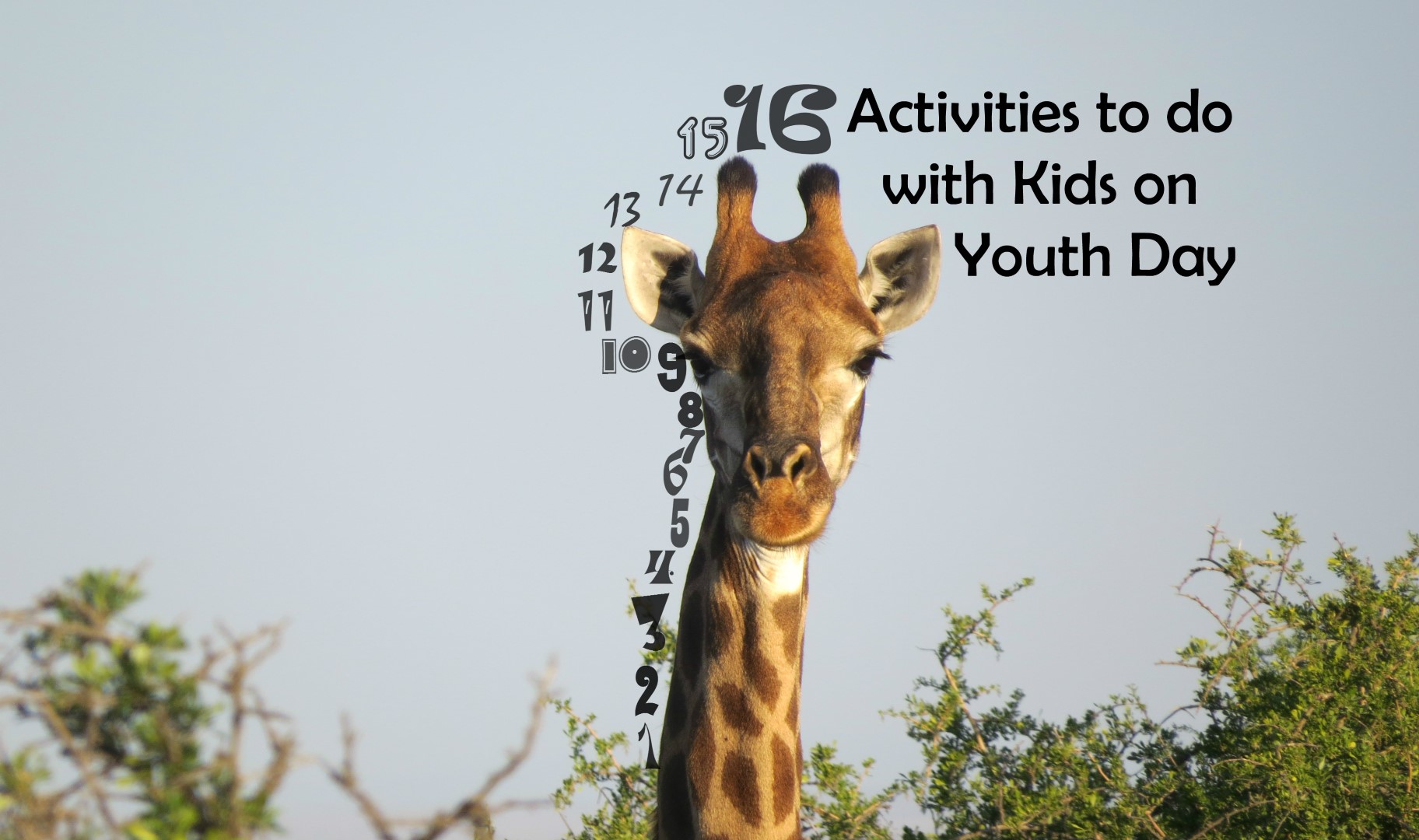 Youth Day in the Bay 16 Activities to do with Kids Blog Nelson