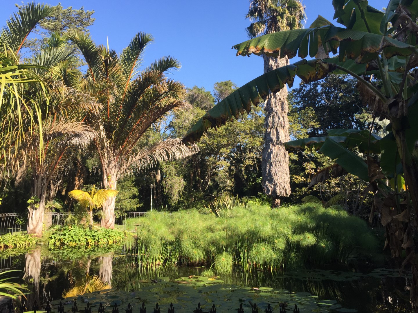 Port Elizabeth's Utopia St Park Blog Nelson Mandela Bay