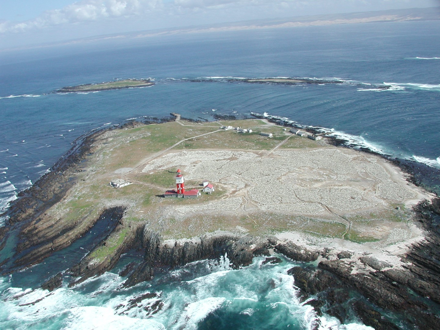 Plans afoot to extend the Bird Island Marine Protected Area – Blog ...